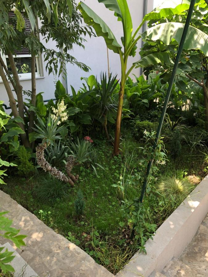 Apartment Giardino غييكا المظهر الخارجي الصورة